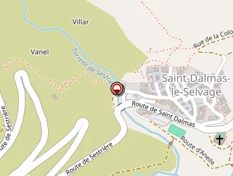 Carte de Mairie à Saint-dalmas-le-selvage