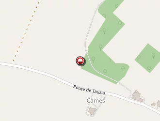 Carte de Fleick Philippe à Anzex