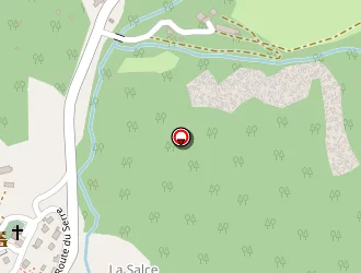 Carte de Bonnaffoux Gérard à Auzet