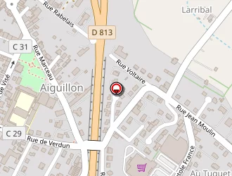 Carte de Camifleurs à Aiguillon