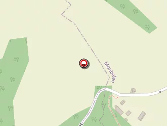 Carte de Vasse Denis à Monbalen