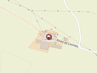 Carte de Cluzel De Caumels à Flavin