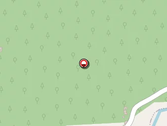 Carte de Passieu Marguerite à Chambon