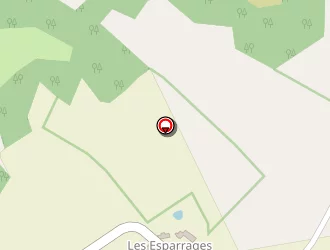 Carte de Dusfour Gérard à Rieupeyroux