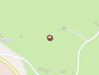 Carte de Caméléon Style à Saint-projet