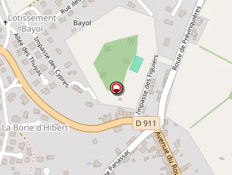 Carte de Auto Primo Martiny à Rieupeyroux