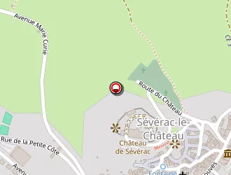 Carte de Riquin Agnès à Sévérac-le-château