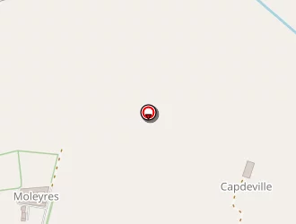 Carte de Dingreville Patrick à Casteljaloux