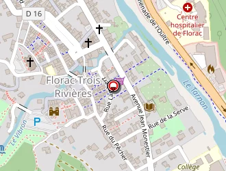 Carte de Fenice Dominique à Florac