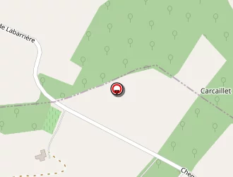 Carte de Ertus Michel à Casteljaloux