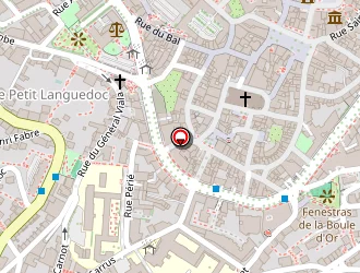 Carte de Rey Lionel à Rodez