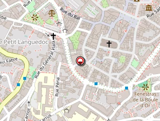 Carte de Ireps Antenne Aveyron à Rodez