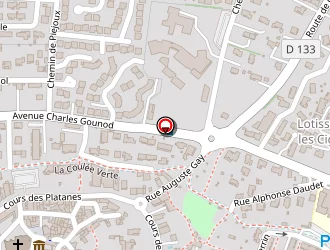 Carte de Devi Roméo à Saint-paul-trois-châteaux