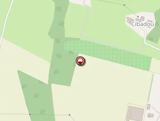 Carte de Cabas Chape Fluide à Saint-sardos