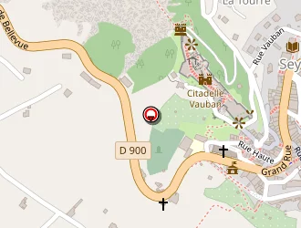 Carte de Tron Noël à Seyne