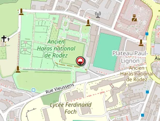 Carte de Mouhamoussi Brahim à Rodez