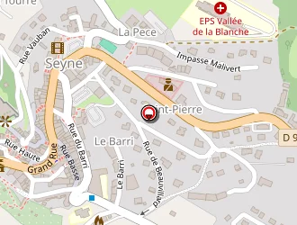 Carte de Guès Irène à Seyne