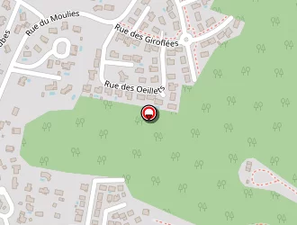 Carte de Comite Des Fêtes à Parentis-en-born