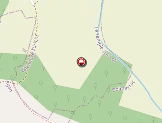 Carte de Auricès Michel à Dolmayrac