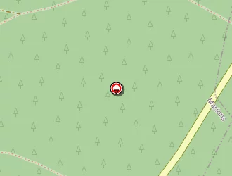 Carte de Carreyre Patrick à Marions