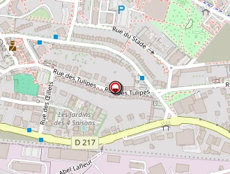 Carte de In.s.e à Onet-le-château