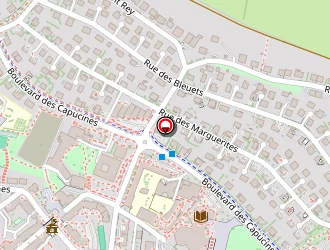 Carte de Lys Beauté à Onet-le-château