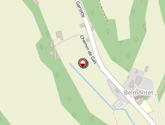 Carte de Mairie à Belmontet