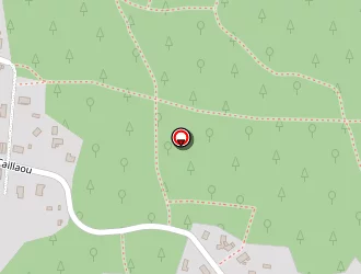 Carte de Viana Anne à Biscarrosse