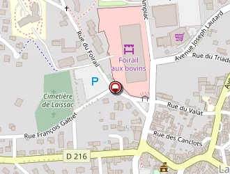 Carte de Mjh Conseil à Laissac