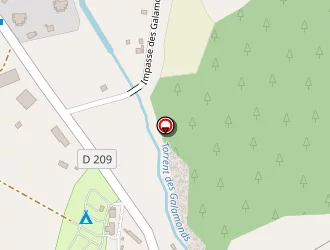 Carte de Barbeau Anaïs à Enchastrayes