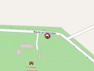 Carte de Vigouroux Georges à Cieurac