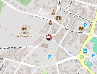 Carte de Bergès Philippe à Biscarrosse