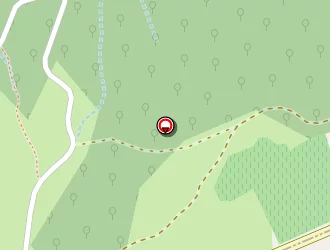 Carte de Patalas Birgit à Bidon