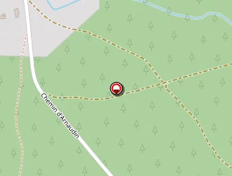 Carte de Delcour-magis à Biscarrosse