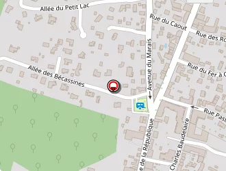 Carte de New's Pizza à Biscarrosse