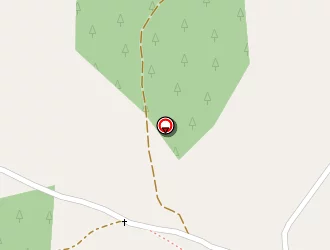 Carte de Robert Roger à Saint-saturnin