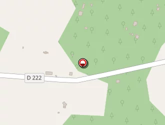 Carte de Cruse Nicolas à Préchac