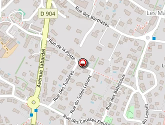 Carte de Pauline Constans à Sébazac-concourès