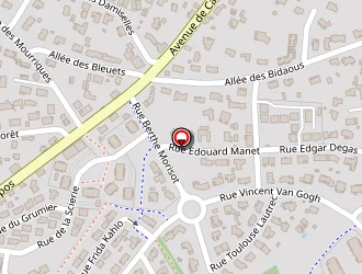 Carte de Peintre Didier à Biscarrosse