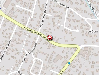 Carte de Bisca Pneus à Biscarrosse