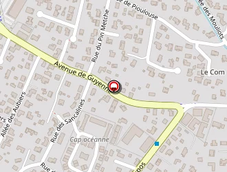 Carte de Gardet Jean-luc, Levy Pascal, Simon Myriam (scp De Vétérinaires) à Biscarrosse