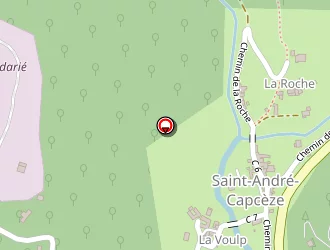 Carte de Maconnerie Romieu à Saint-andré-capcèze