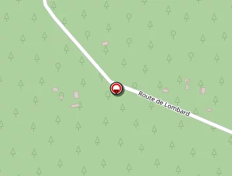 Carte de Lepesteur Bernard à Moustey