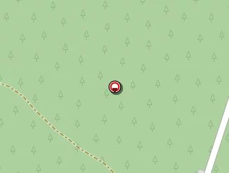 Carte de Costagliola Pierre à Préchac