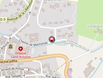 Carte de Camus Husky à Bazas