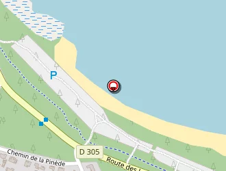 Carte de Venaruzzo Perpus Béatrice à Biscarrosse