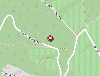 Carte de Polytoques à Saint-vincent-rive-d'olt