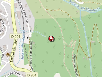 Carte de Doladille Michel à Saint-andré-capcèze