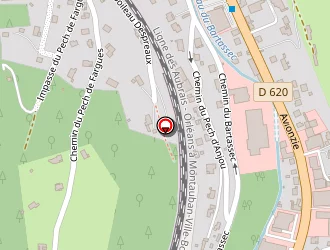 Carte de Pointes Aux Ames à Cahors