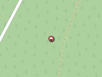 Carte de Pompiers à Saint-symphorien